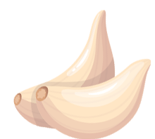 garlic